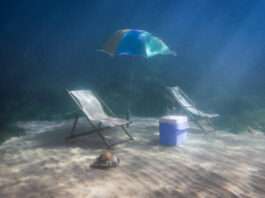 30ème Biennale d’Issy : Interview Anne Malherbe, commissaire invitée