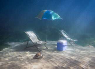 30ème Biennale d’Issy : Interview Laure Malherbe, commissaire invitée