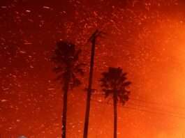 PhotoSaintGermain, 14ème édition  : Interview Aurélia Marcadier, directrice