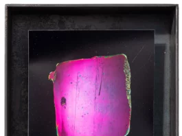 Luxembourg Art Week 2025 : Interview Delphine Dumont, directrice Hangar Gallery, Bruxelles