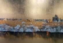 Interview Raphaëlle Peria et Fanny Robin : BMW ART MAKERS × Paris Photo