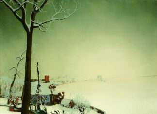 BRAFA 2026 : Rencontre Raf Van Severen