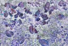 Chaumont-Photo-sur-Loire, 8ème édition : Interview Chantal Colleu-Dumond