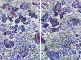 Chaumont-Photo-sur-Loire, 8ème édition : Interview Chantal Colleu-Dumond