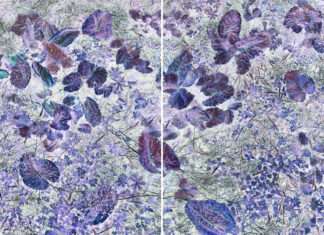 Chaumont-Photo-sur-Loire, 8ème édition : Interview Chantal Colleu-Dumond