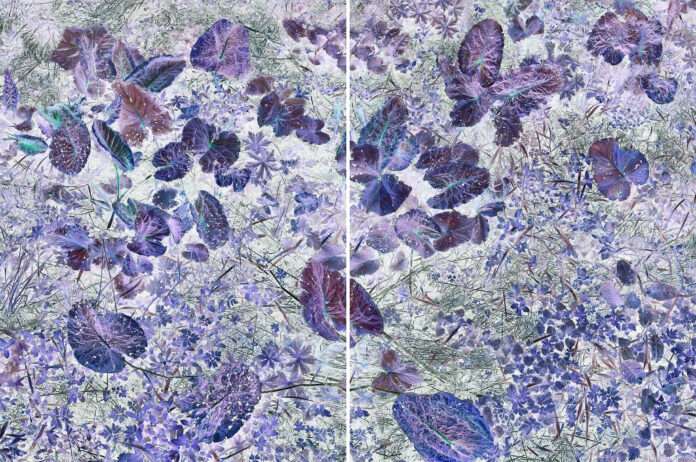 Tamas Dezso - Tout se met a flotter - spring