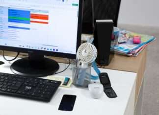 100% L’EXPO : Interview Inès Geoffroy