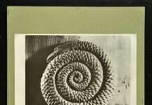 Art Genève 2026 : Rencontre avec Danaé Panchaud, Centre de la photographie, Genève, santé mentale et enjeux de monstration des images