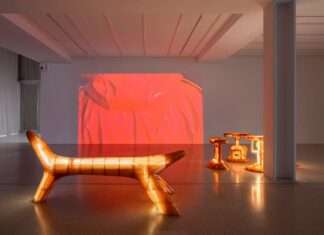 « L’argument du rêve » à la Fondation Pernod Ricard, entretien Elodie Royer, commissaire