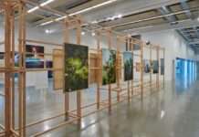 « L’Écologie des relations » au Frac Sud : rencontre avec Elodie Royer, commissaire