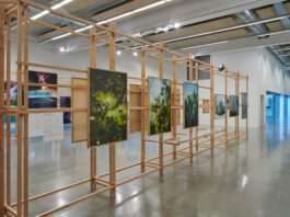 « L’Écologie des relations » au Frac Sud : rencontre avec Elodie Royer, commissaire