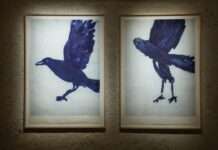 Chaumont-sur-Loire 2026 : Rencontre avec Astrid de la Forest « Et les oiseaux rêvent aussi »