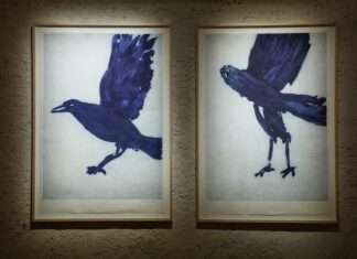 Chaumont-sur-Loire 2026 : Rencontre avec Astrid de la Forest « Et les oiseaux rêvent aussi »