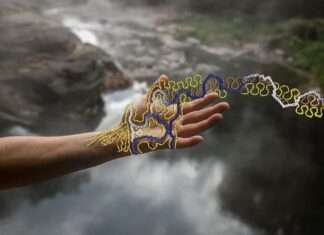 Les 15 ans de mécénat de la Fondation Louis Roederer : rencontre Audrey Bazin, Directrice artistique