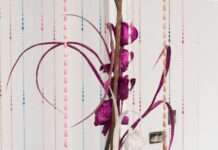 100% L’EXPO 2026 : Rencontre avec Mehdhi Görbüz