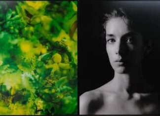 Marie-Jo Lafontaine au musée de Flandre, Cassel (Nord) : rencontre Cécile Laffon, directrice et co-commissaire