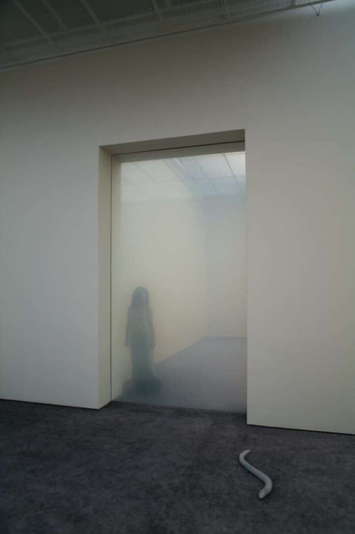 Fondation_Beyeler_Pierre_Huyghe8