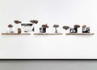 « Elle/Terre/Chaude » à La Verrière, Fondation d’entreprise Hermès : rencontre Marianne Marić